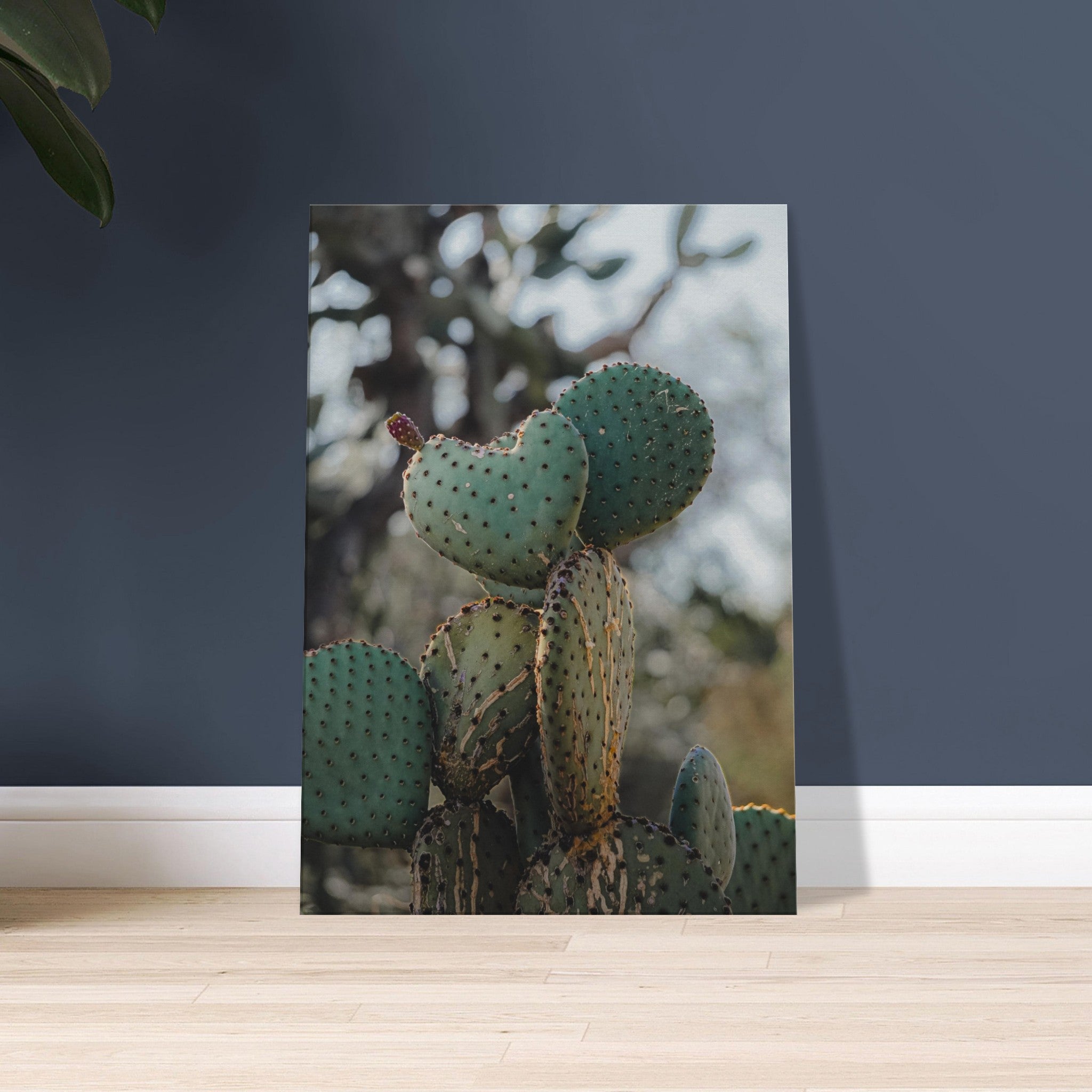 Prickly Pear Ballet: A Symphony of Spines