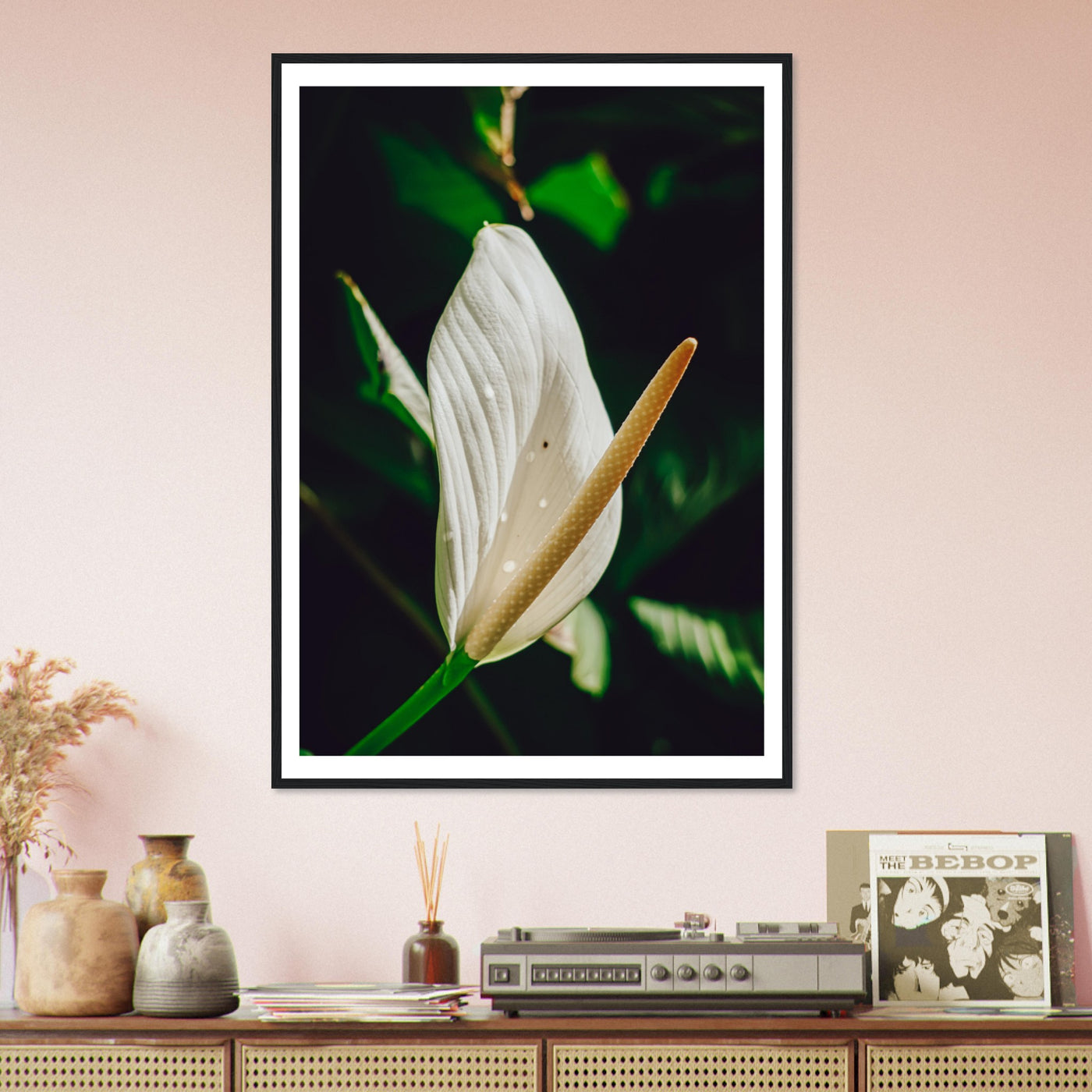 White Anthurium Flower